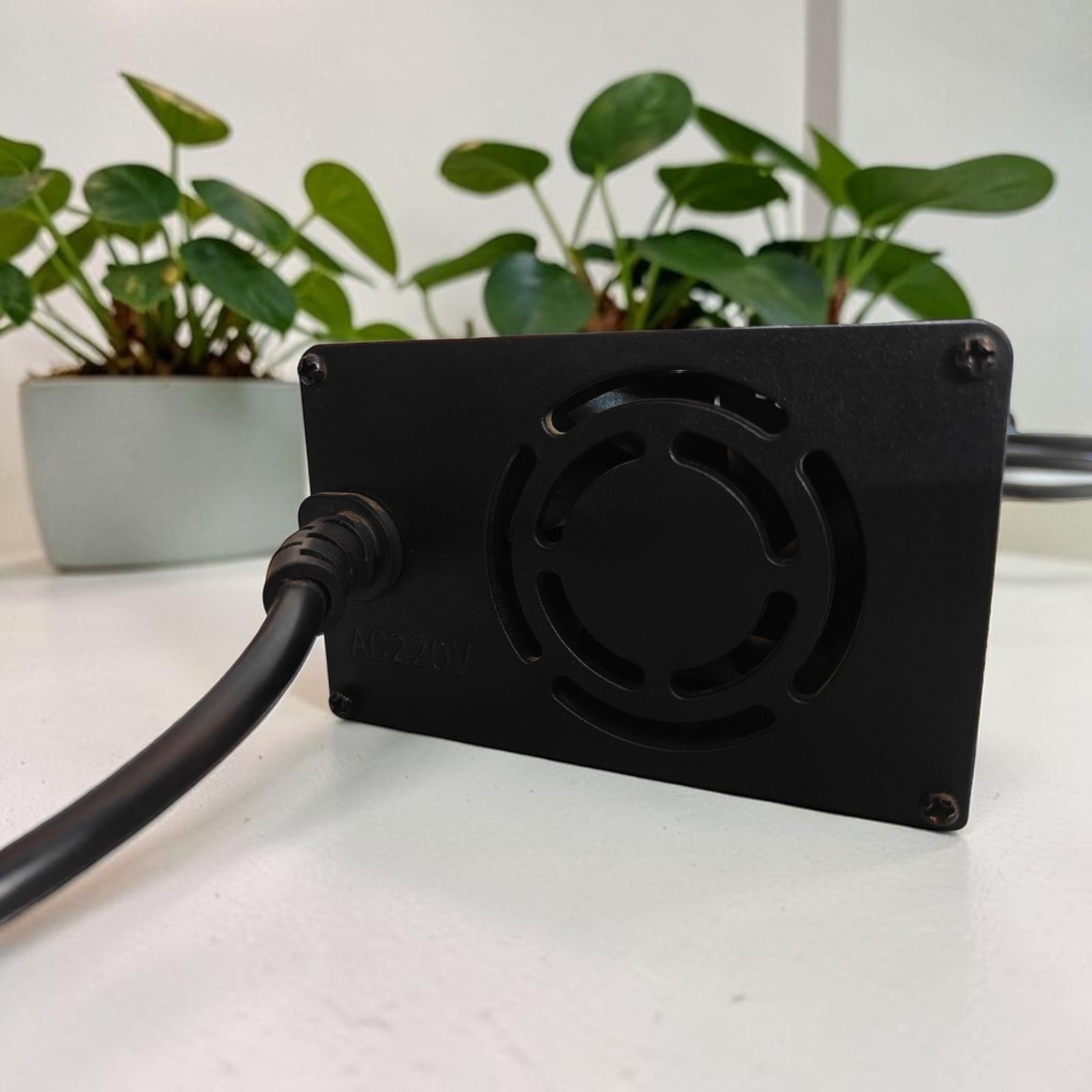 Revolt Compatible EV Charger – 72V Lithium-Ion Battery | 84V 10A Output - Image 3